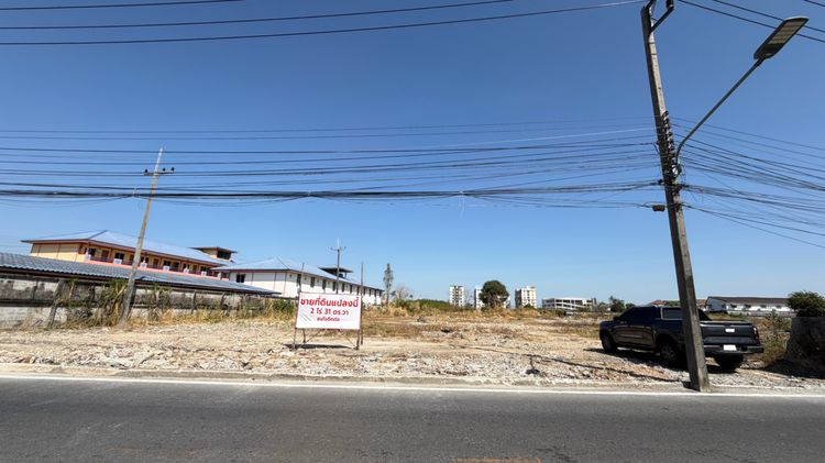 ขายที่ดินใกล้นิคมอมตะซิตี้ เชื่อมถนนศุขประยูร -ชลบุรี ใกล้ถนนใหญ่ ที่ดินสวย ไม่ต้องถม รูปที่ 3