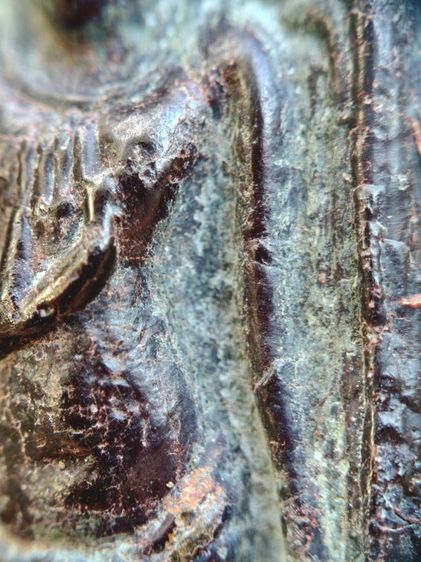 พระร่วงหลังลายผ้า กรุวัดพระศรีฯ จ.ลพบุรี รูปที่ 5