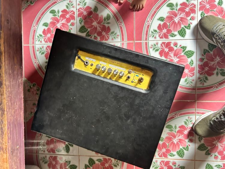 ลำโพงดีไอวาย 6.5 รูปที่ 3