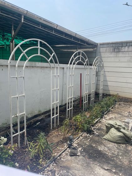 จัดสวน รูปที่ 3