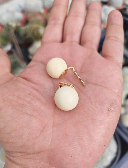 โลหะ ต่างหูหนีบวัสดุธรรมชาติแท้ งานเก่า งานนอก ราคาแบ่งปันครับ