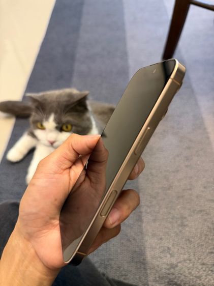 iPhone 16 Pro 256GB รูปที่ 6