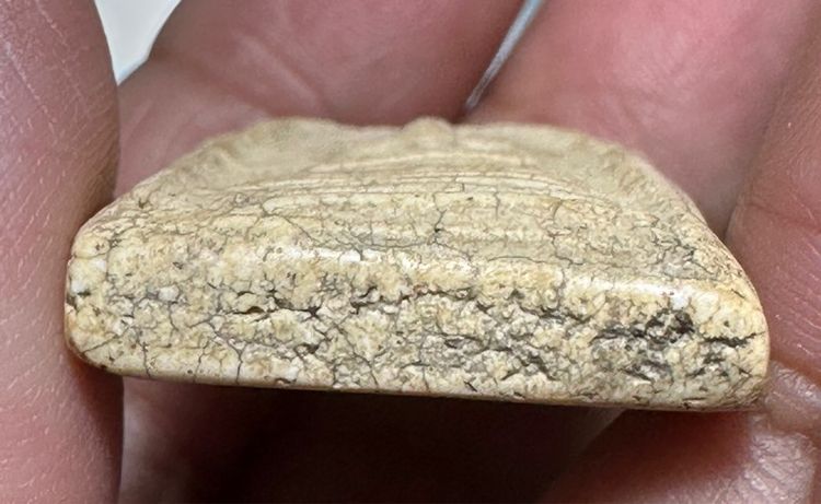 พระสมเด็จบางขุนพรหม พิมพ์ฐานคู่ รูปที่ 9