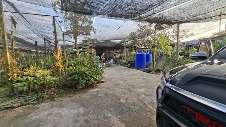 ใช่ ที่ดิน รูปที่ 4