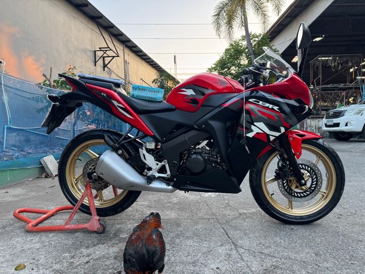HONDA CBR150Rซื้อมาถูกขายถูกรถคันนี้ นางฟ้ามือนรถใหม่รถใช้น้อย3825km กิโลแท้สภาพรถเดิมๆต้องมาดูของจริงมีสถานที่ให้ทดลองขับขี่ก่อนซื้อ รูปที่ 2