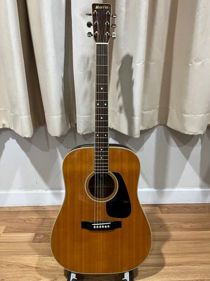 อื่นๆ กีต้าร์โปร่ง Morris MV702 solid top made in Japan