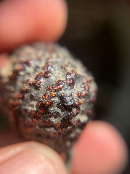 เบี้ยแก้มันส์ๆ ปรอทวิ่ง ไม่ทราบที่ (มีสินค้าหลายรายการกดเข้ามาดูในโปรไฟล์ได้เลยครับ) รูปที่ 7