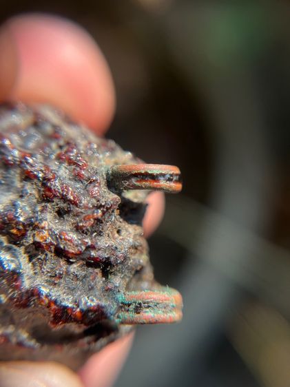 เบี้ยแก้มันส์ๆ ปรอทวิ่ง ไม่ทราบที่ (มีสินค้าหลายรายการกดเข้ามาดูในโปรไฟล์ได้เลยครับ) รูปที่ 2