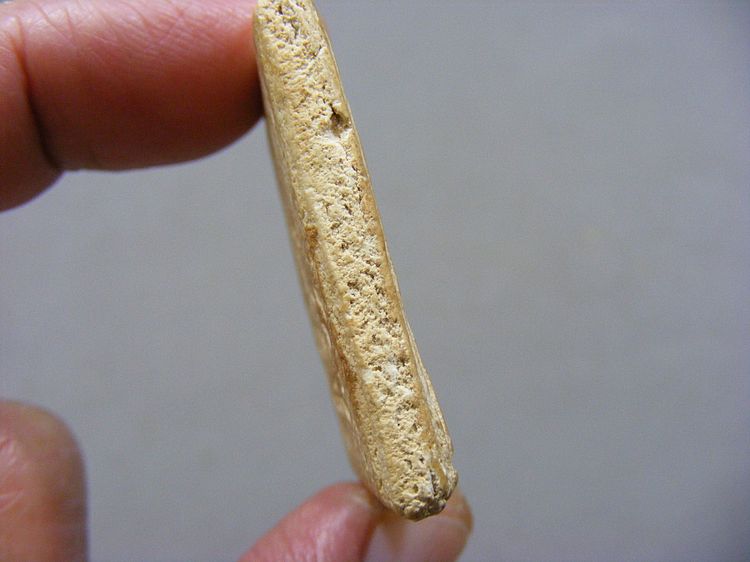  พระสมเด็จ เก่าๆ พระบ้านๆ รูปที่ 13