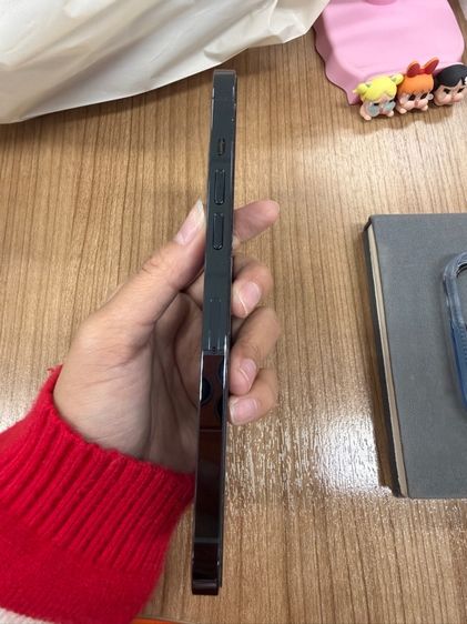 Iphone 12 Pro Max รูปที่ 4