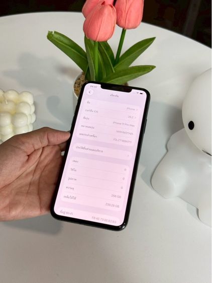 iphone 11 promax 256gb รูปที่ 6