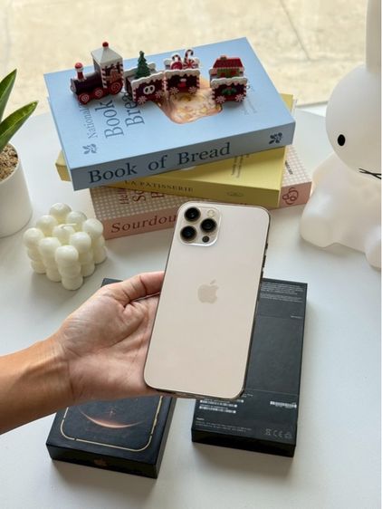 iphone 12 promax 256gb