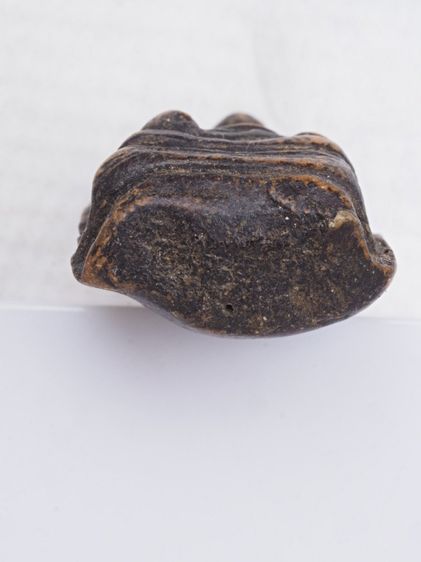 พระรอดเนื้อดิน 07116817 รูปที่ 3