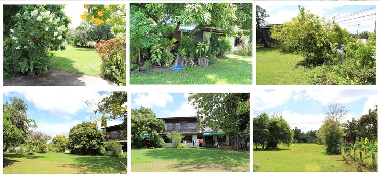 ขายบ้านพร้อมที่ดินด่วน รูปที่ 2
