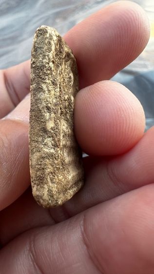 พระสมเด็จบางขุนพรหม  รูปที่ 5