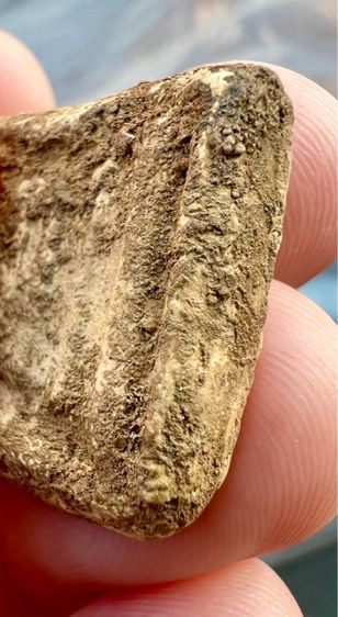 พระสมเด็จบางขุนพรหม  รูปที่ 8