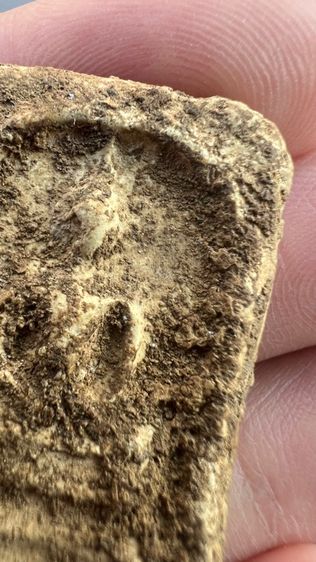 พระสมเด็จบางขุนพรหม  รูปที่ 10