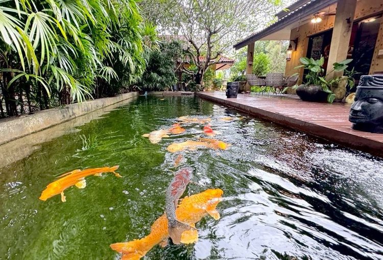 อื่นๆ ตกแต่งครบ ขายบ้านสไตล์ Tropical Resort เชียงใหม่ รูปที่ 3