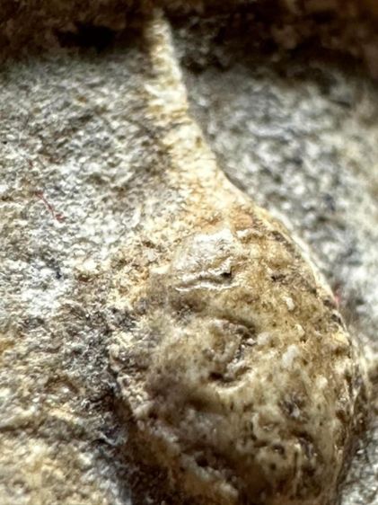 พระสมเด็จวัดระฆังพิมพ์ใหญ่ ยุคต้น รูปที่ 11