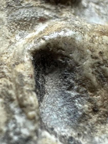 พระสมเด็จวัดระฆังพิมพ์ใหญ่ ยุคต้น รูปที่ 12