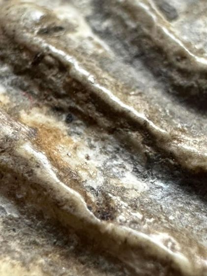 พระสมเด็จวัดระฆังพิมพ์ใหญ่ ยุคต้น รูปที่ 9