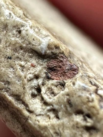 พระสมเด็จวัดระฆังพิมพ์ใหญ่ ยุคต้น รูปที่ 3