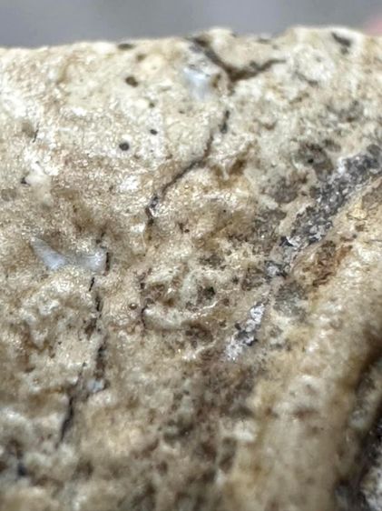 พระสมเด็จวัดระฆังพิมพ์ใหญ่ ยุคต้น รูปที่ 8