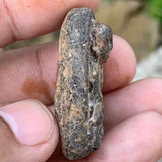 หลวงปู่ทวด วัดช้างให้ เนื้อว่านรุ่นแรกปี2497 รูปที่ 6