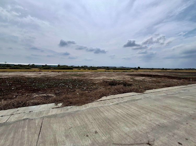 ที่ดิน รูปที่ 4