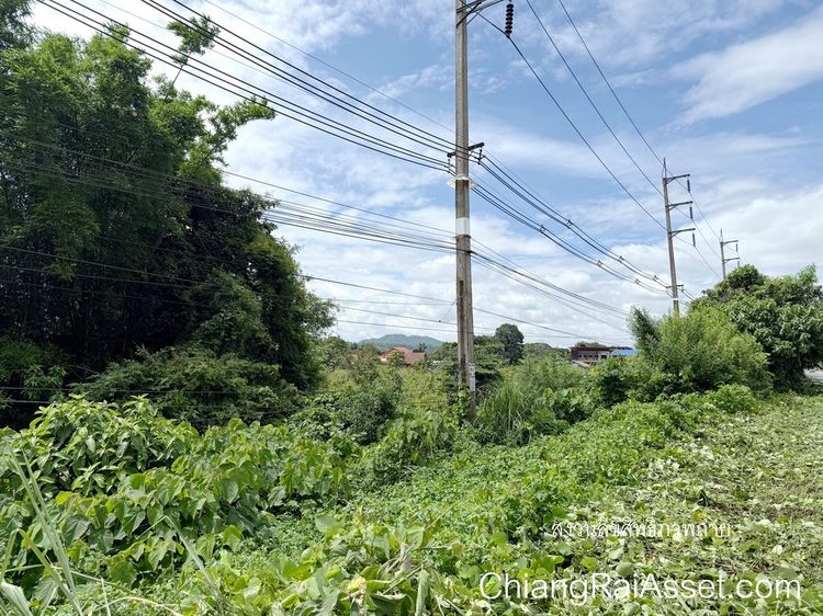ขายที่ดินติดถนนพหลโยธิน 16 ไร่กว่า  ใกล้ ม.แม่ฟ้าหลวง ต.ท่าสุด อ.เมืองเชียงราย รูปที่ 4