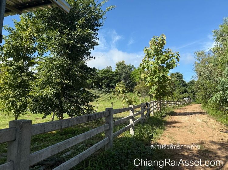 ขายที่ดิน 26 ไร่กว่า พร้อมสิ่งปลูกสร้าง ต.เชียงเคี่ยน อ.เทิง จ.เชียงราย รูปที่ 3