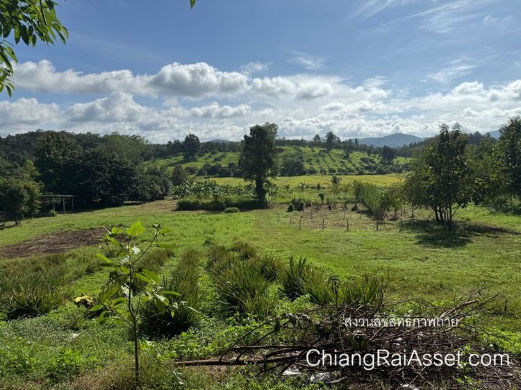 ขายที่ดิน 26 ไร่กว่า พร้อมสิ่งปลูกสร้าง ต.เชียงเคี่ยน อ.เทิง จ.เชียงราย รูปที่ 2