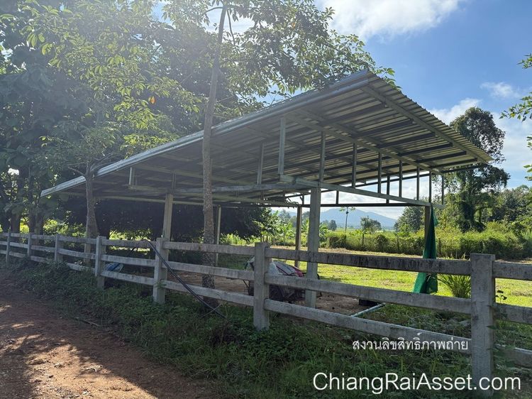 ขายที่ดิน 26 ไร่กว่า พร้อมสิ่งปลูกสร้าง ต.เชียงเคี่ยน อ.เทิง จ.เชียงราย รูปที่ 4