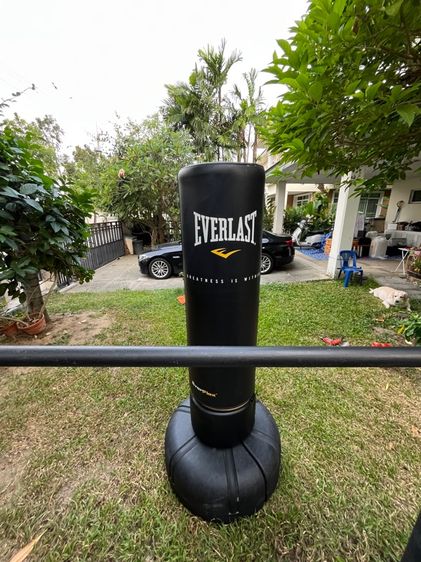 นวมตั้งพื้น EVERLAST รูปที่ 3