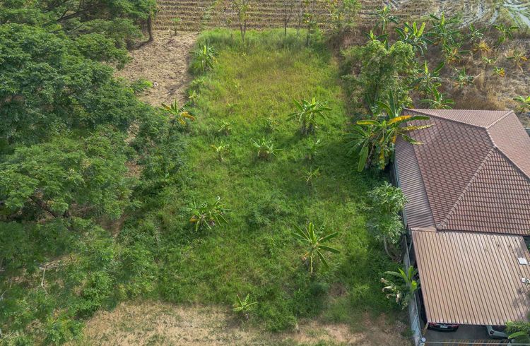 ที่ดินถมแล้ว พร้อมสร้าง วิวทุ่งนา โซนหางดง ใกล้สนามบิน เดินทางสะดวก รูปที่ 3