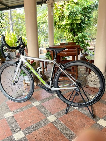 cannondale size44 เสือหมอบ