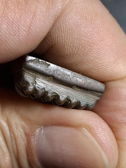 หลวงปู่ทวดหลังเตารีดเนื้อนวะวัดช้างให้ปี 05 รูปที่ 4