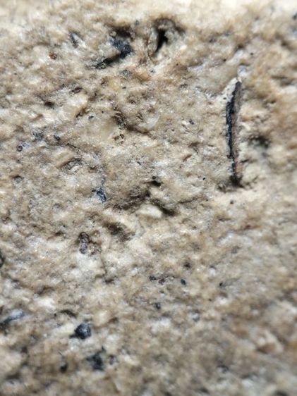 พระสมเด็จเนื้อสวยๆครับ รูปที่ 11