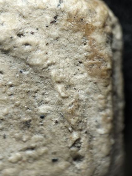 พระสมเด็จเนื้อสวยๆครับ รูปที่ 9