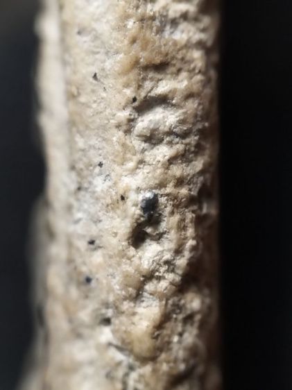 พระสมเด็จเนื้อสวยๆครับ รูปที่ 14