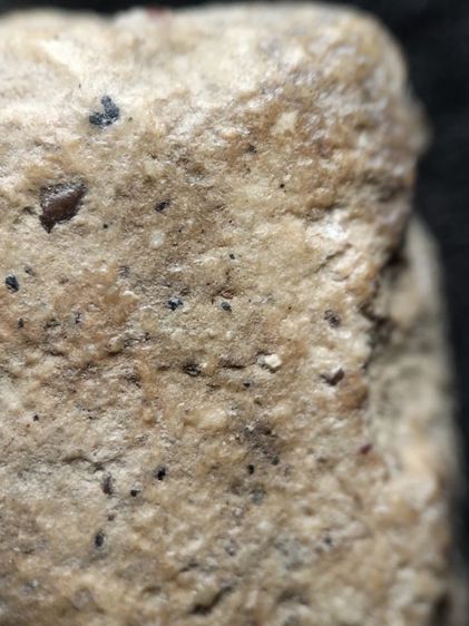 พระสมเด็จเนื้อสวยๆครับ รูปที่ 10