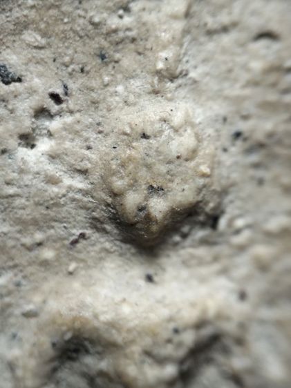 พระสมเด็จเนื้อสวยๆครับ รูปที่ 2