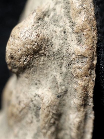 ❌ปิดครับ❌พระรอดลำพูนพิมพ์ตื้นเนื้อโทนขาวไม่ได้ล้างครับ รูปที่ 7