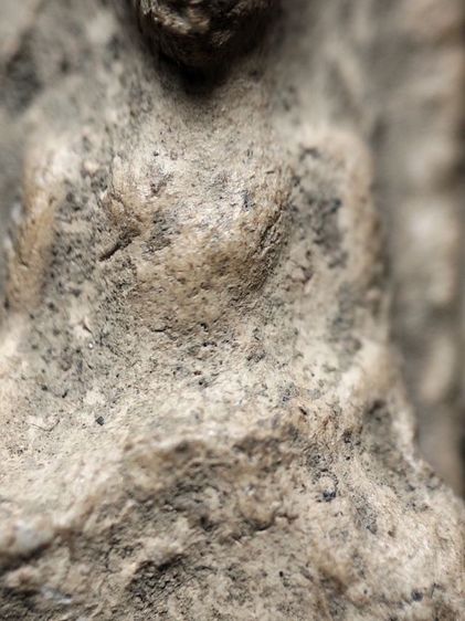 ❌ปิดครับ❌พระรอดลำพูนพิมพ์ตื้นเนื้อโทนขาวไม่ได้ล้างครับ รูปที่ 12