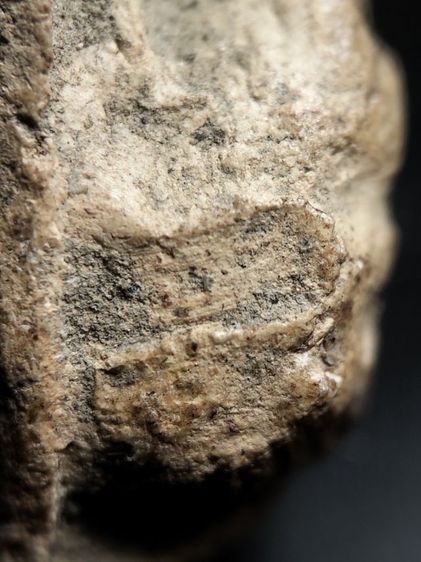 ❌ปิดครับ❌พระรอดลำพูนพิมพ์ตื้นเนื้อโทนขาวไม่ได้ล้างครับ รูปที่ 14