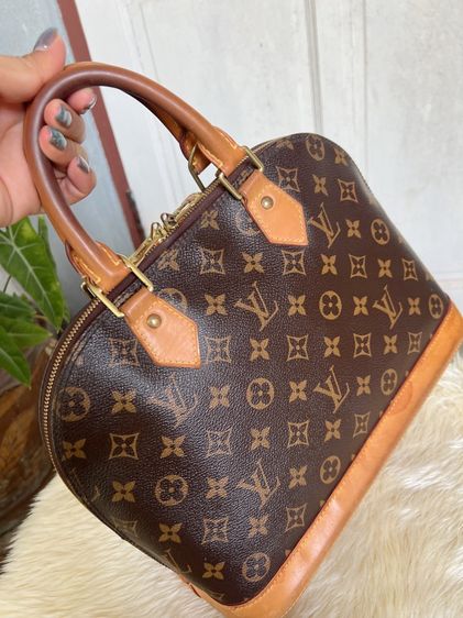 Lv Alma pm dc12 รูปที่ 2