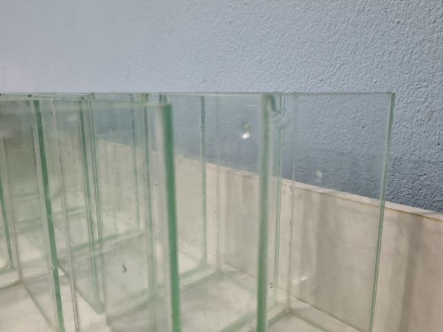 ขายเหมาโหลปลากัด รูปที่ 5