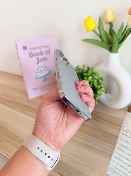 iPhone 16 promax 256GB รูปที่ 3