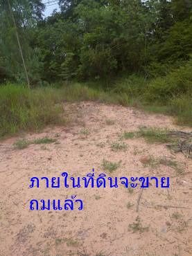 ขายที่ดิน 42 ไร่ ติดถนนมิตรภาพ อ.บ้านไผ่ ขอนแก่น หน้ากว้า170 เมตร รูปที่ 4