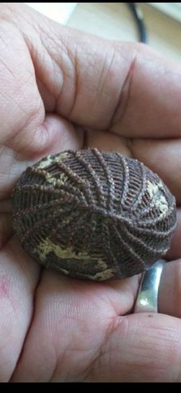 เบี้ยแก้ หลวงปู่บุญ วัดกลางบางแก้ว ยุคกลาง ถึง ปลาย รูปที่ 4